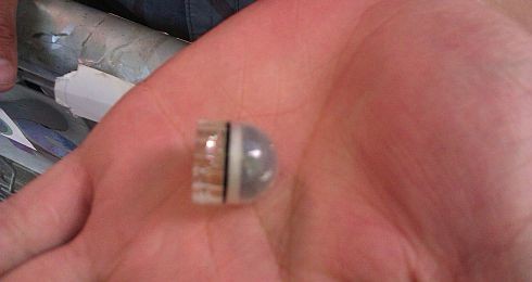 less-lethal_turkey_3